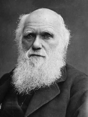 Charles Darwin, naturaliste français 1809-1882